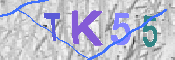 キャプチャ画像