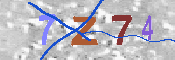 キャプチャ画像