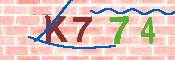 キャプチャ画像
