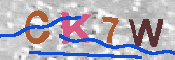 キャプチャ画像