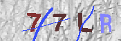 キャプチャ画像
