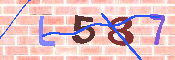 キャプチャ画像