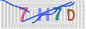 キャプチャ画像