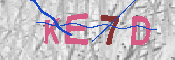 キャプチャ画像