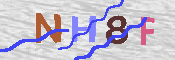 キャプチャ画像