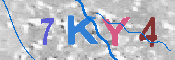キャプチャ画像